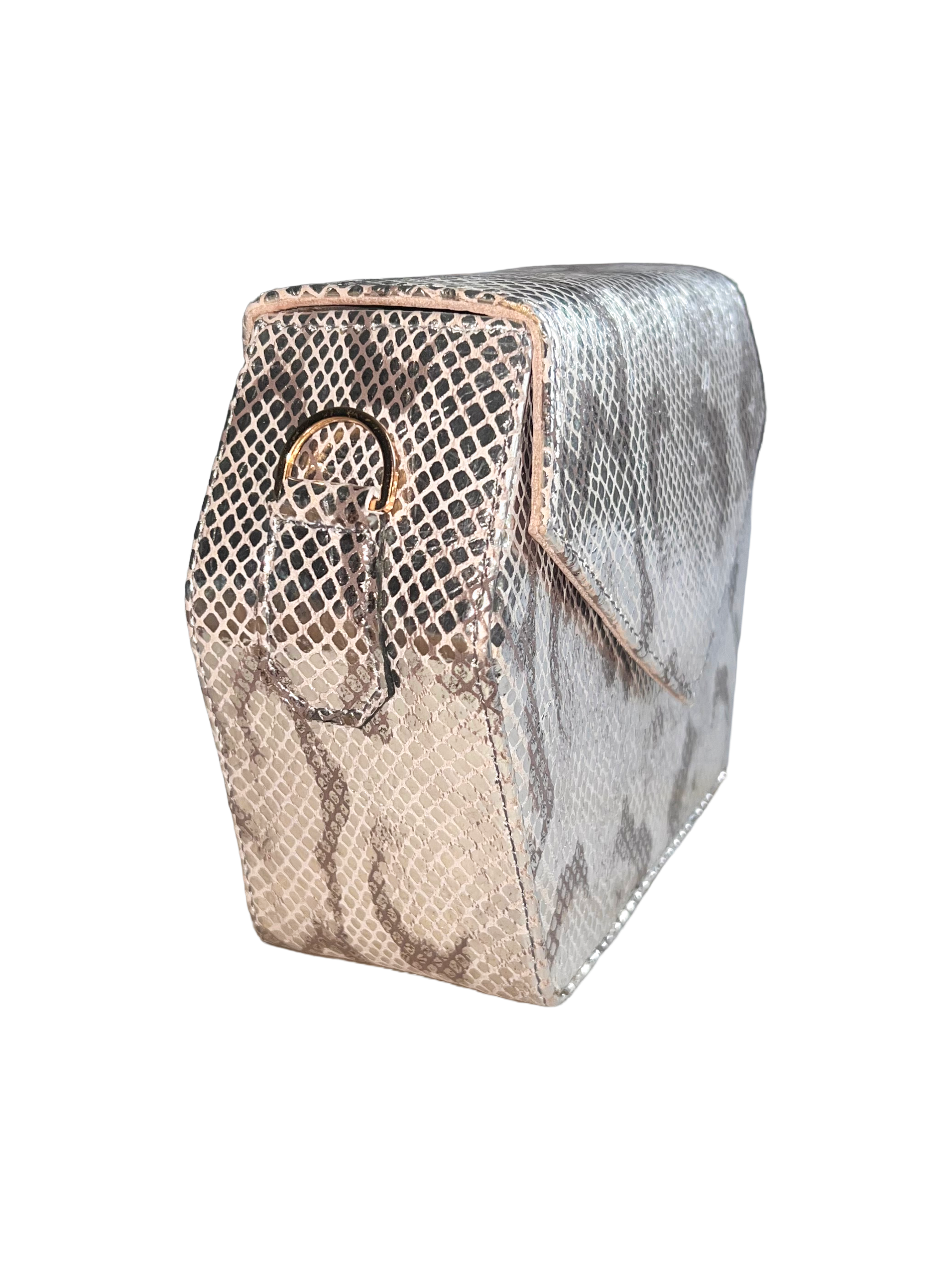 Silver Snakeskin Embossed Leather Dara Bag