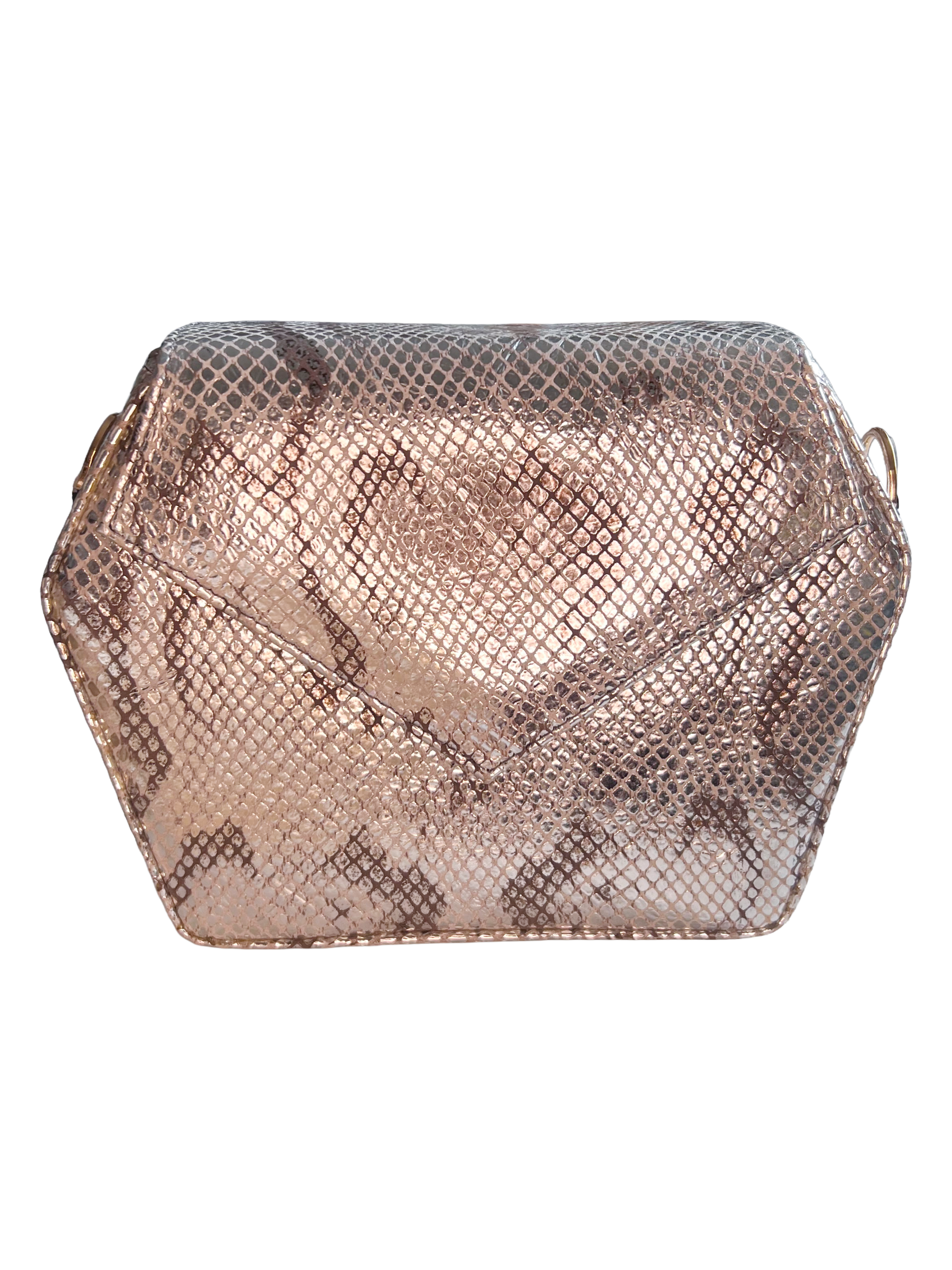 Silver Snakeskin Embossed Leather Dara Bag