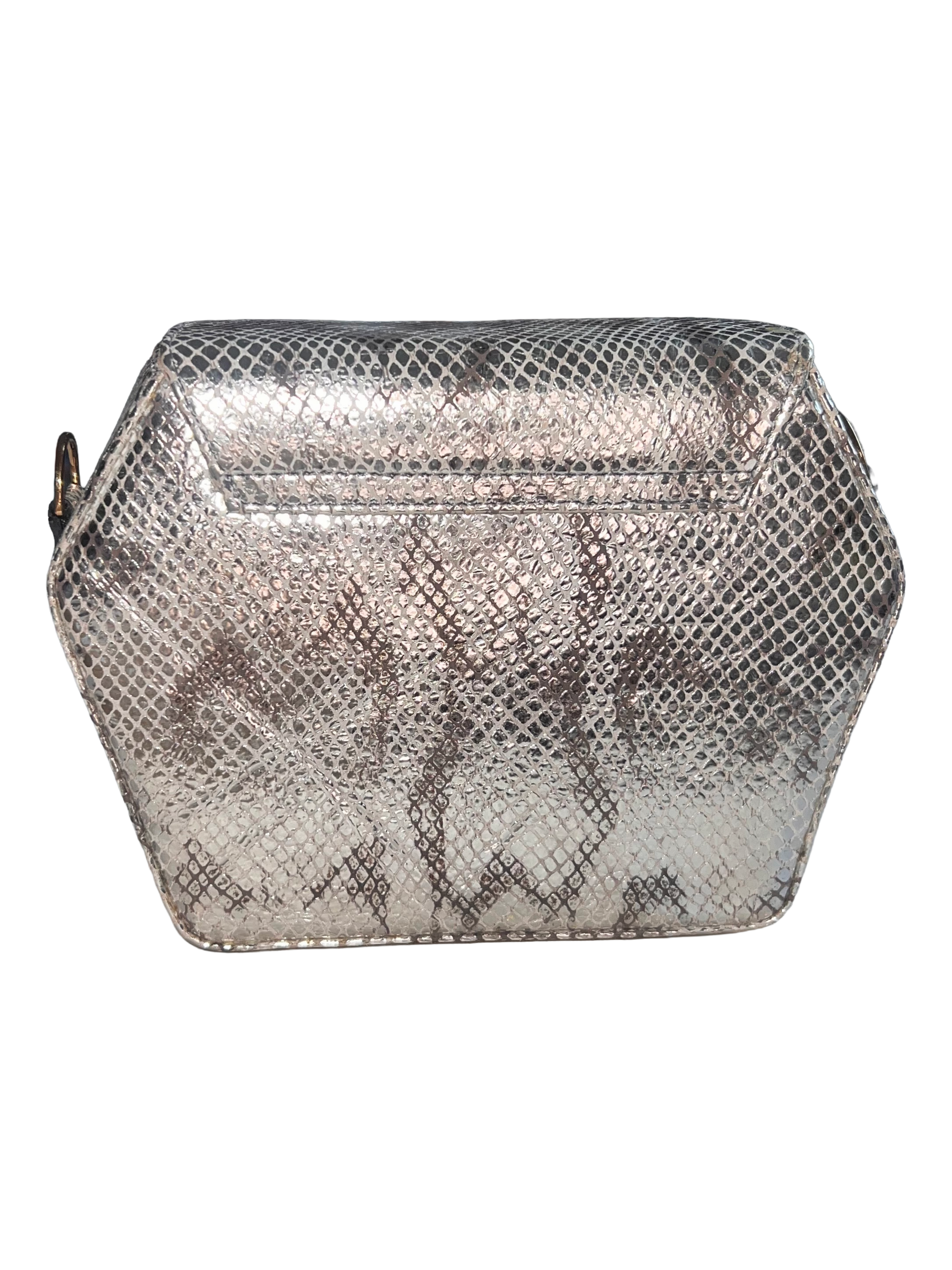 Silver Snakeskin Embossed Leather Dara Bag